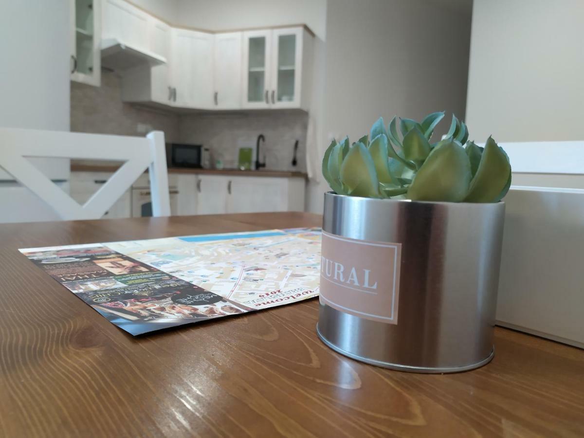 Kate & Jenny Apartments - Cosy Place In The City Center 布拉迪斯拉发 外观 照片